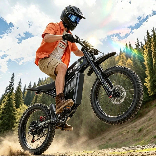 Bicicletta elettrica 3000w - bicicletta,