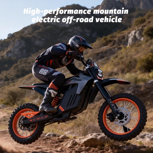 Freeboy dirt bike - 12'',